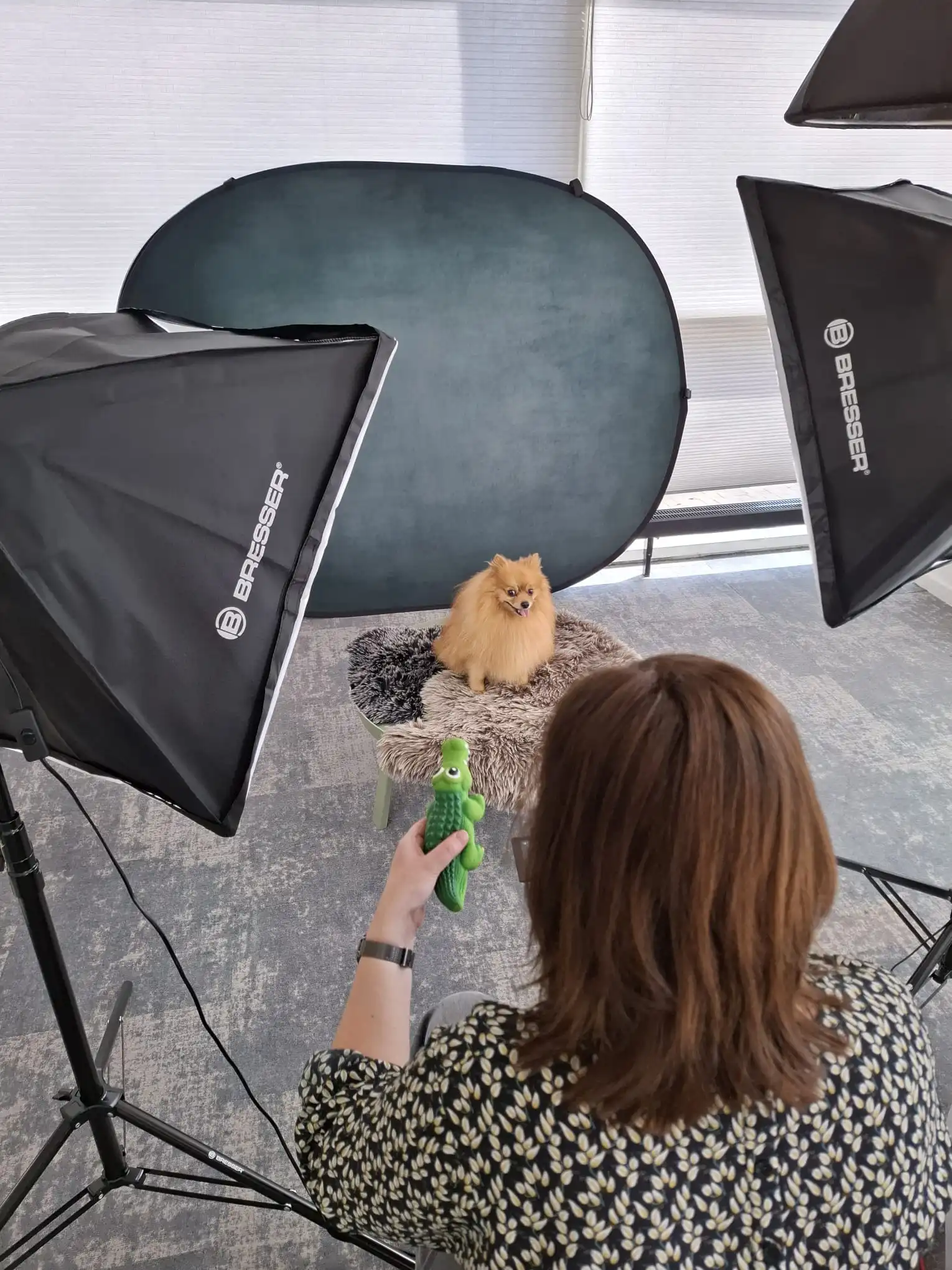 /images/evenementen/huisdierenshoot/actie.webp