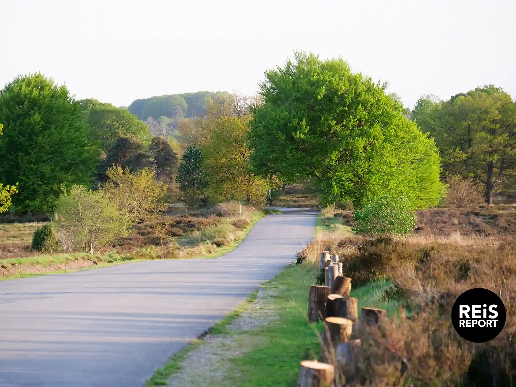 /images/wandelroutes-ebook/drenthe.webp