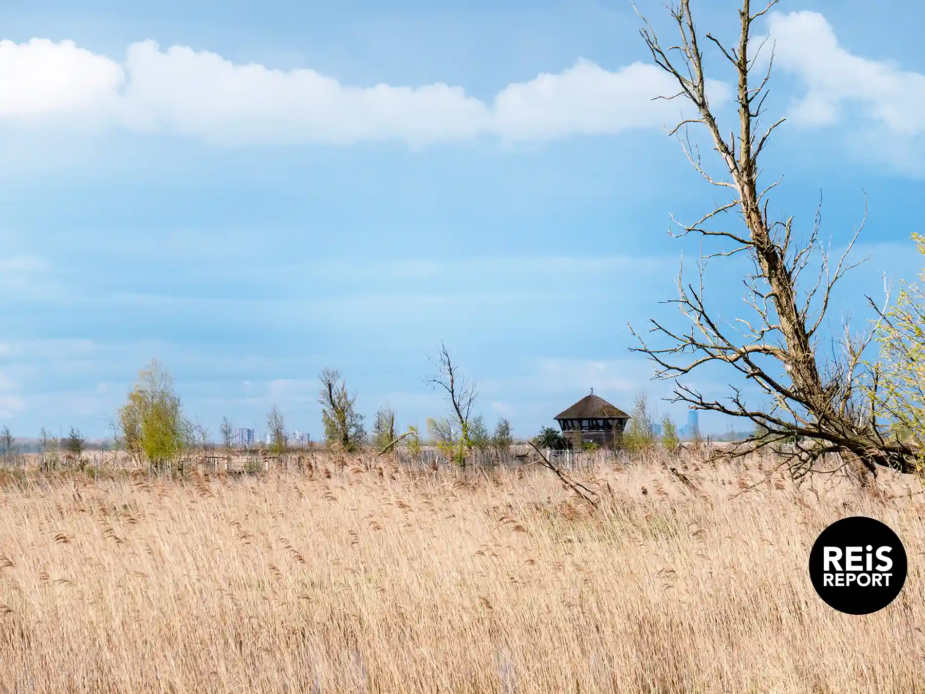 /images/wandelroutes-ebook/flevoland.webp